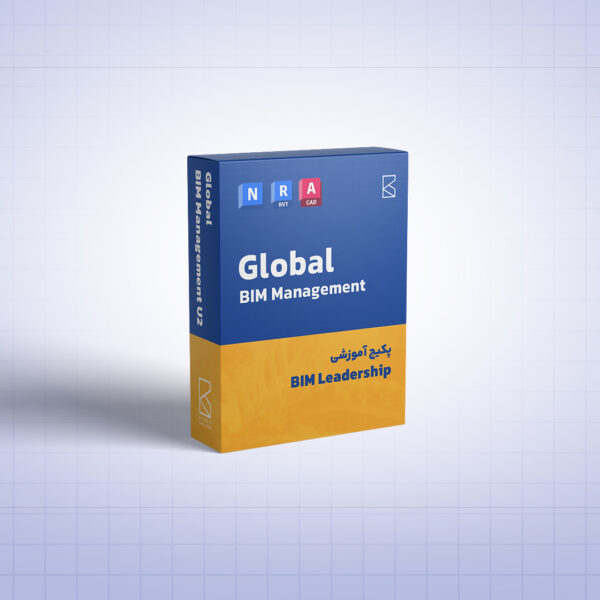 Bim leadership